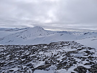 terje_20250406_67f28886c39fd.jpg