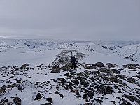 terje_20250406_67f2888747159.jpg