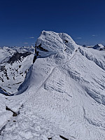 terje_20250515_6826284895336.jpg