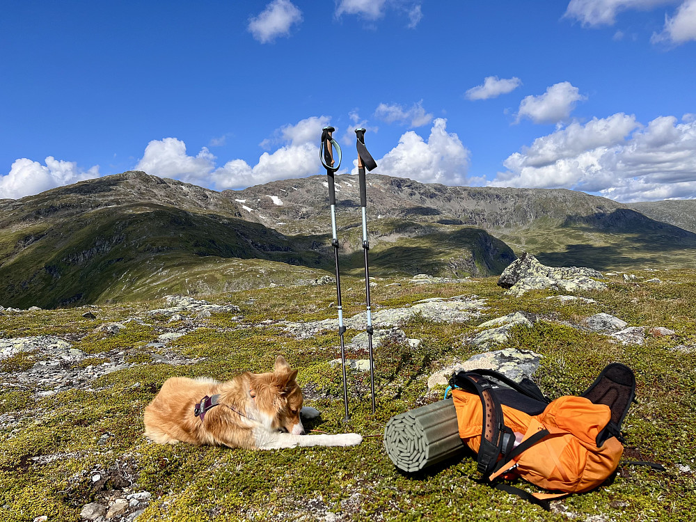 Pause på Fongtrøa, lettgått opp hit, målet; Fongskaftet i bakgrunnen (samt Fongen)