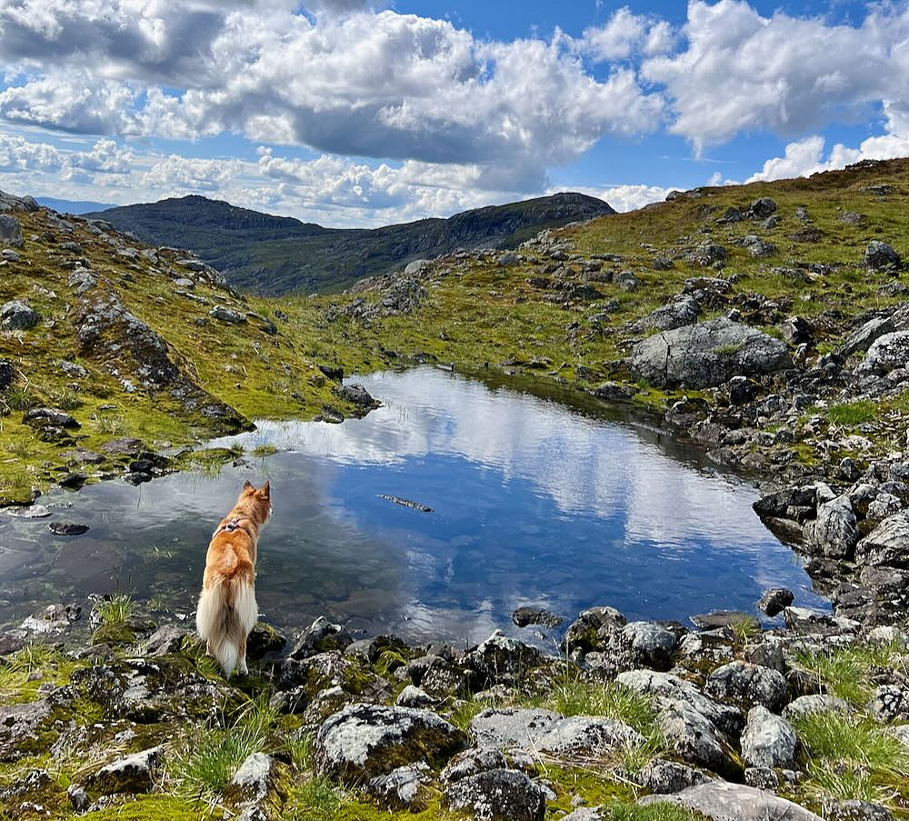 Skaret mellom Fongtrøa og Fongskaftet