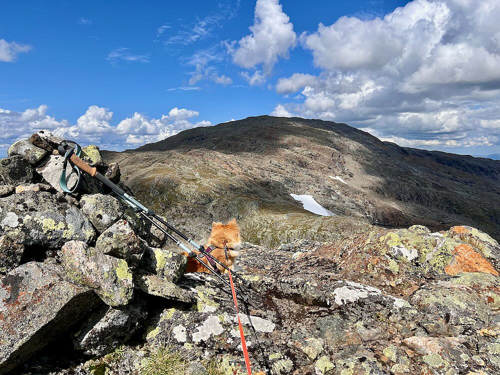 Liten varde på toppen av Fongskaftet, Fongen i bakgrunnen
