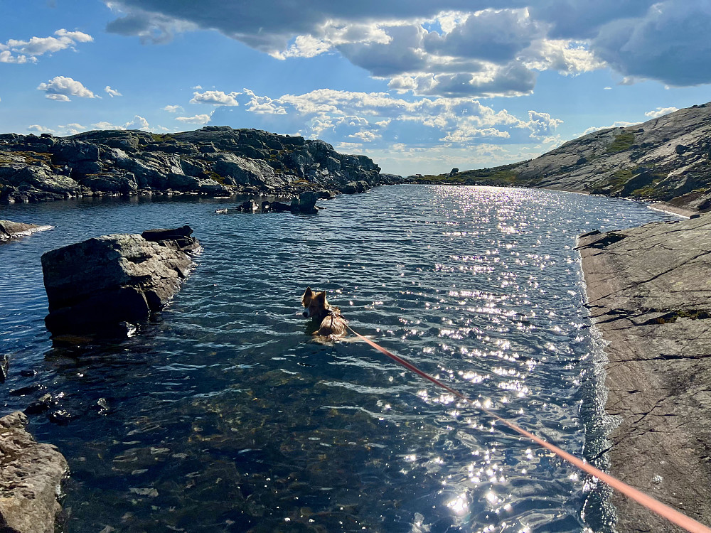 Fin dam på toppen, Pia fikk bade og kjøle seg ned :-)