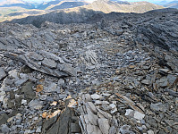 Solem_20240726_66a3b2f9494b0.jpg