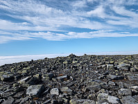 Solem_20240901_66d488ae0d09e.jpg