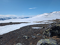 Solem_20250409_67f6d14f04666.jpg