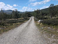 Solem_20250814_689dde233f38b.jpg