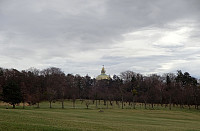 Spotting the famous church at Steinhof behind the trees.