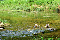 Special wellness at Kotlac near Slunj