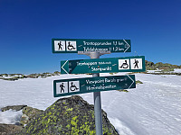 tronfjell_20250518_6829de1026363.jpg