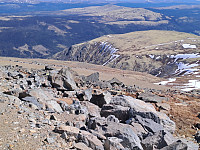 tronfjell_20250518_6829de1197111.jpg