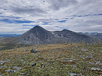 tronfjell_20250630_686294c34a68a.jpg