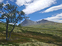tronfjell_20250630_686294c3c1fb6.jpg
