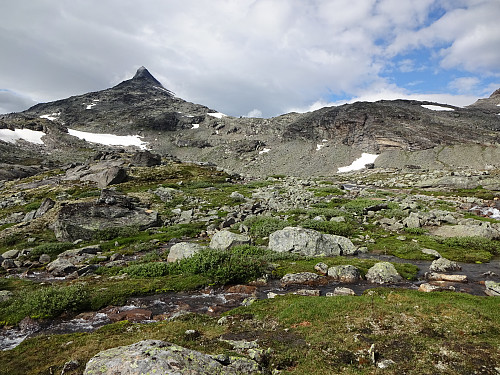 Tilbake i frodig landskap nedenfor moreneområdet