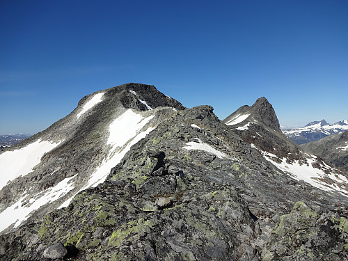 På toppryggen med utsikt mot Koldedals- og Hjelledalstind