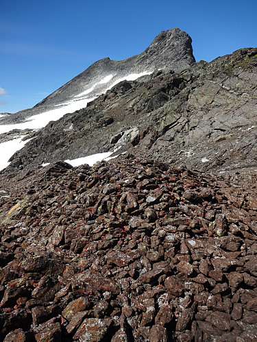 I sadelen nedenfor Hjelledalstind hvor det er raudberg og hauger av rustfargede avlange steiner