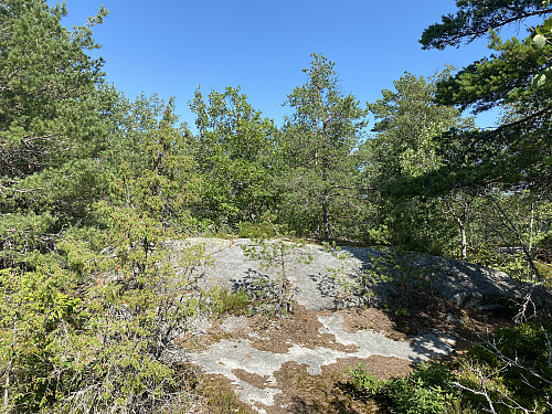 Toppunktet på Hjertås, høyest i gamle Sandefjord kommune