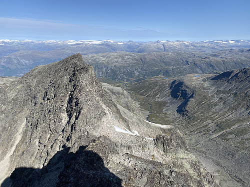 Vi klyver opp nordeggen på Nordre Soleiebotntind og får flott tilbakeblikk på Lauvnostind og Ringsdalen hvor vi har telt