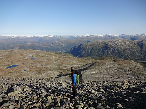 I oppstigningen mot Lauvnostind med utsikt helt til Jostedalsbreen. Lodalskåpa stikker opp litt til venstre i bildet