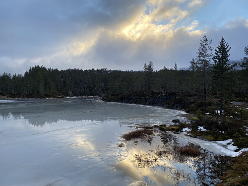 Ved nedre Lontjørn