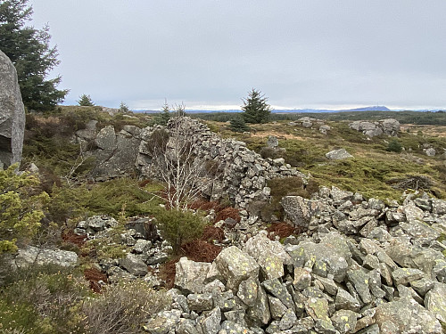 Den ene av to brakkegrunner etter Luftwaffe ca. 110m sørøst for vardepunktet