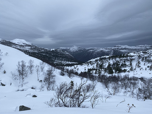 Mot Sallia, Øvre og Nedre Daurmålsknuten og med Lauvåsen på andre sida av Tysdalsvatnet