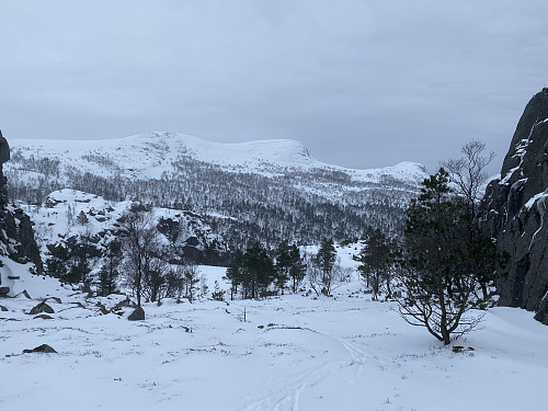 I skardet aust for Middagsåsen med utsikt mot Flærne, Salane og Øvre Daurmålsknuten