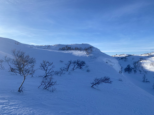 Mot Haugsnuten