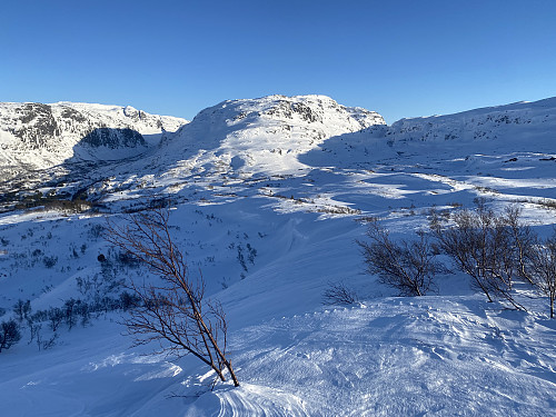 Fra Haugsnuten mot Histeinsnuten