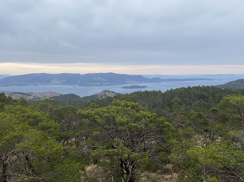 Mot Hervikfjorden med Hellebrekkene/Hest