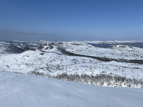 Utsikt mot Kubbåsen og Bjørkegjuvskogen ovanom Folkehjelpshytta