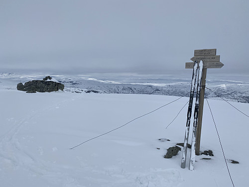 Gråere, men fortsatt fint på Simleskjåen
