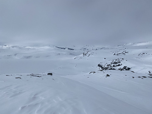 Fra oppunder 1371-toppen med utsikt over ruta vest for Skåfonnskardet. Vi ser skardet nede til høyre og Ingelsvatnet til venstre
