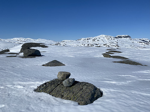 På toppen av Grasdalsheia. Kjempene Snønuten og Kringlenuten ruvar kledeleg i bakgrunnen, og Søre Kaldafjell er med til venstre i bildet