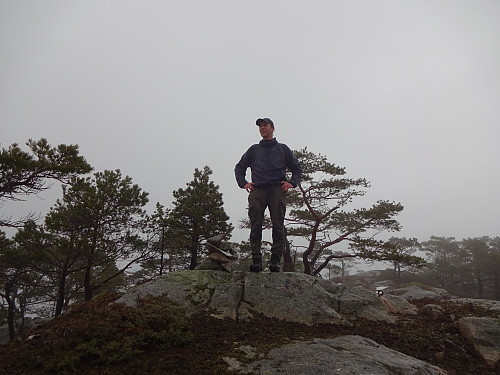 Fjellkaren på heimefjellet hans, Higraheia