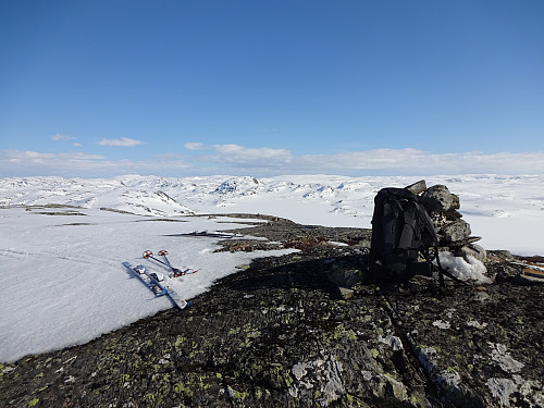 På toppen av Skorpa med utsikt mot Heddevatnet og karakteristiske Blåbergåsane
