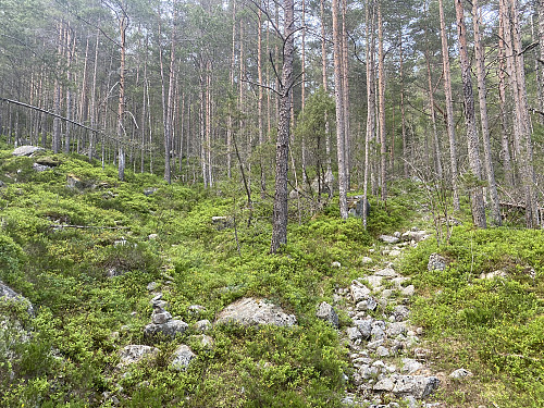Nødlinga til venstre som viser rett veg mot Sunnmorkbrekka (opp til venstre, ikkje rett fram)