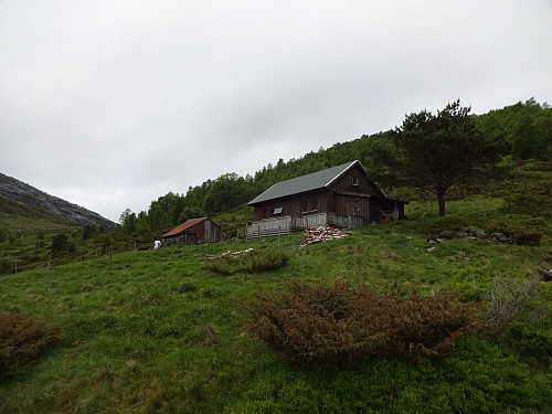 Sunnmork var busett som fjellgard på 475 moh heilt til 1860-åra