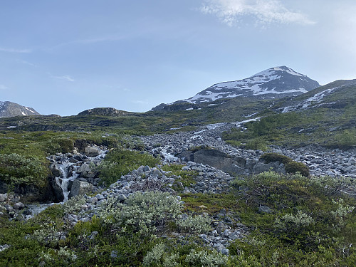 Jeg har akkurat kommet ganske tørrskodd over største løpet av Veslebreagrova og har det høyreiste turmålet i sikte