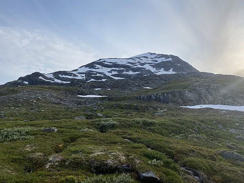 Fra samme sted mot turmålet. Min rute gikk temmelig nøyaktig langs himmelranda