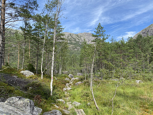 Like innanfor Bakken med Nordafjellet beint imot
