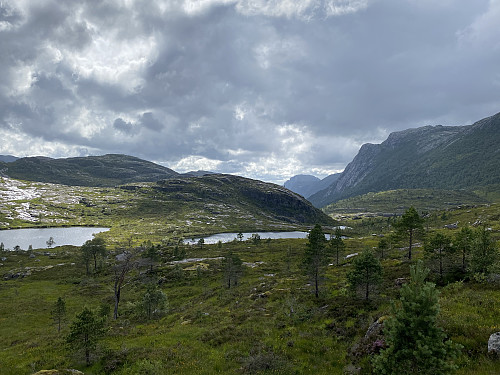 Mot Beinatjødnane og husa på Songesandstølen. I bakgrunnen stikk Nordafjellet og Neverdalsfjellet seg fram