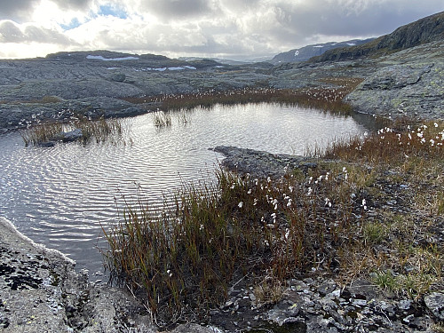 Kveldsidyll like nord for Blydalen med solgløtt over Skorpeskarnuten