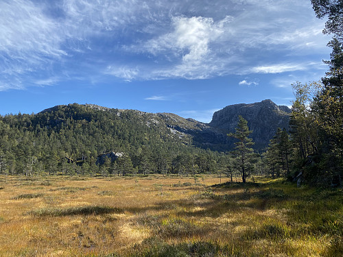 På myrene sør for Longavatnet mot hytta der og 728-toppen lengst vest på Steinfjellet (Splitthodnet)