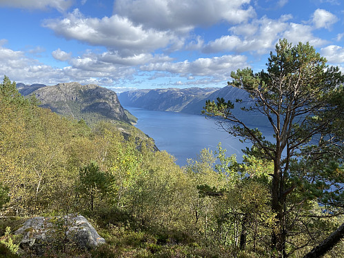 Eg vinn høgde opp att frå Bratteli og får flott tilbakeblikk innover fjorden. Bakkafjellet dominerer til venstre