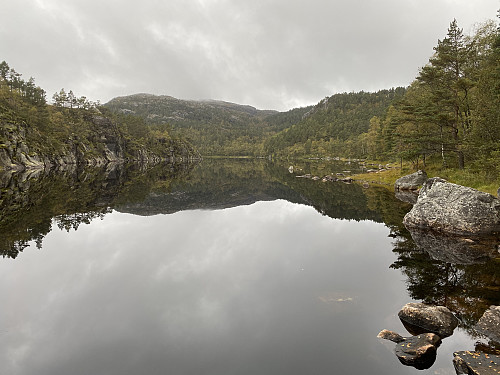 Damstill morgon ved Skogavatnet