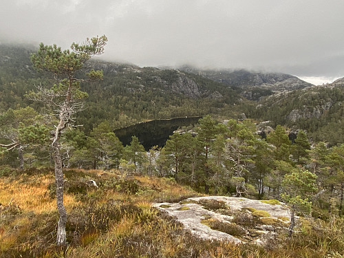 Tilbakeblikk mot Skogavatnet med Bratteliknuten dekt av morgonskodda