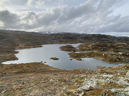 Fra oppunder 1147-toppen mot Skåfonntjørna