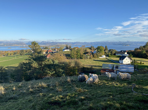 Utsikt austover frå Brenningstua lengst aust på Åmøy. Me ser i retning Hidle og Tau