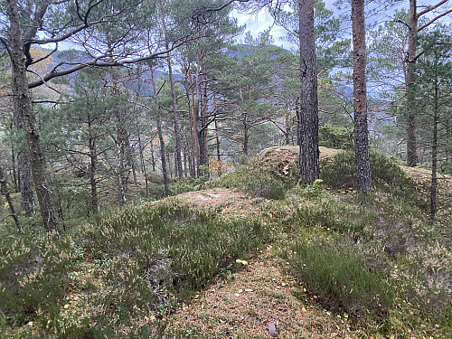 På toppen av Storøyna med Akslandsnuten i bakgrunnen